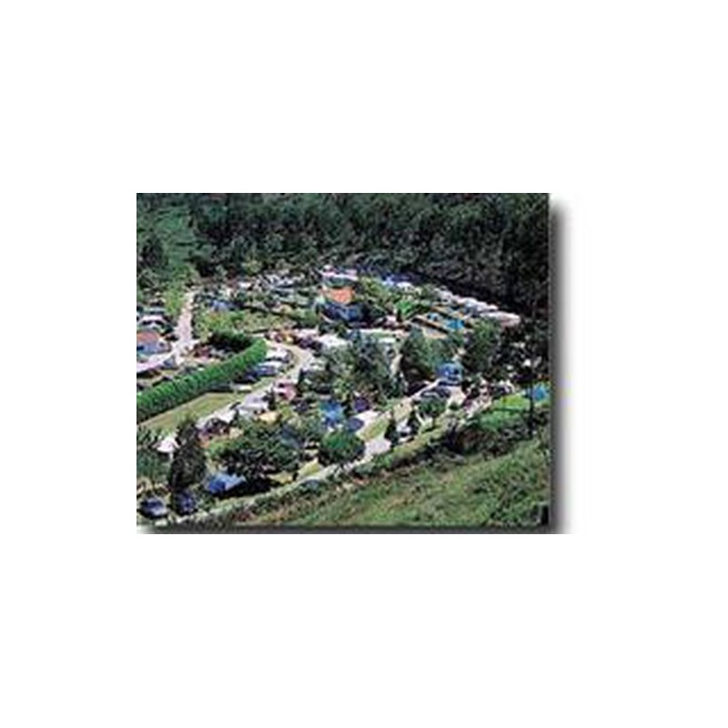 Camping las Hortensias