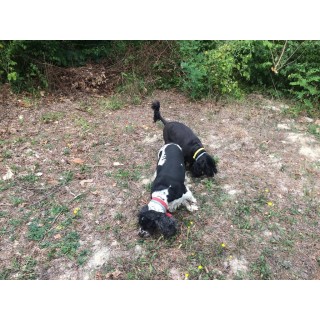 Castello di Baccaresca