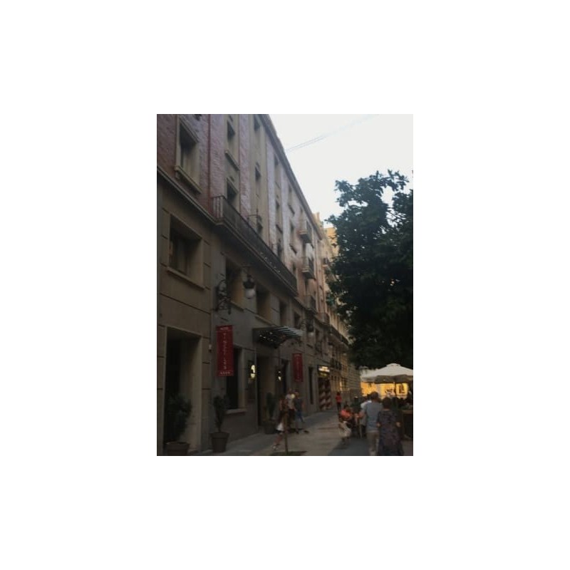Hotel Vincci Lys