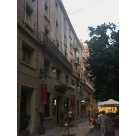 Hotel Vincci Lys