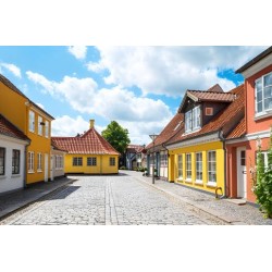 City Hotel Nattergalen Odense