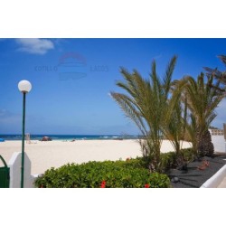Cotillo Lagos