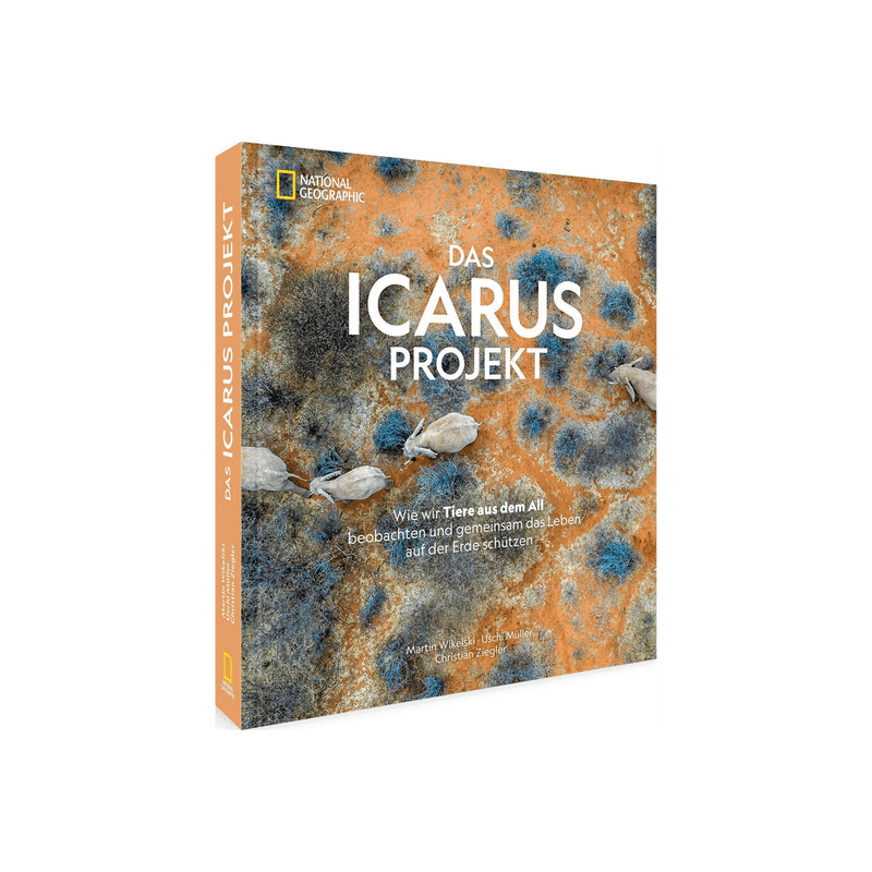 Das ICARUS Projekt.