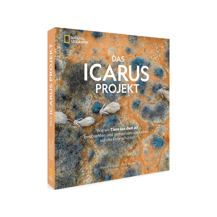 Das ICARUS Projekt.