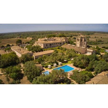 Dortmund - El Arenal - Zoetry Mallorca Wellness & Spa