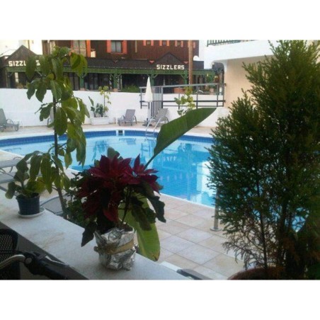 Düsseldorf - Ayia Napa - Sea CleoNapa Hotel