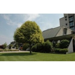 Düsseldorf - Faenza - Hotel Cavallino