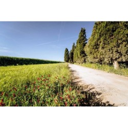 Düsseldorf - Grosseto - Agriturismo Bio San Mamiliano