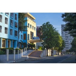 Düsseldorf - Kuba, Karibik - Tulipan