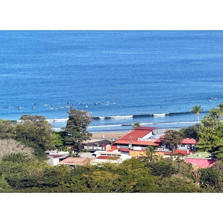 Düsseldorf - Tamarindo - Surf Ranch Tamarindo