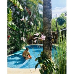 Düsseldorf - Tamarindo - Ten North Tamarindo Beach Hotel