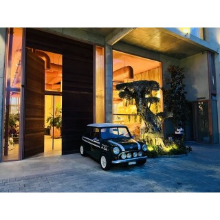 Epidamn White Sensation