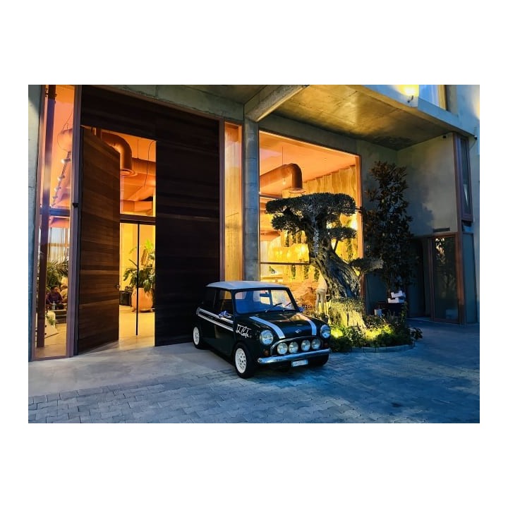 Epidamn White Sensation