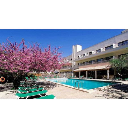 Erfurt - Magaluf - Hotel Gaya