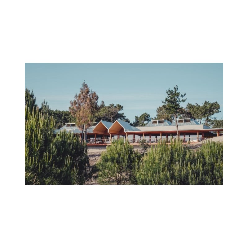 FeelViana Hotel