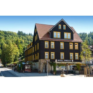 Ferien Hotel Forelle