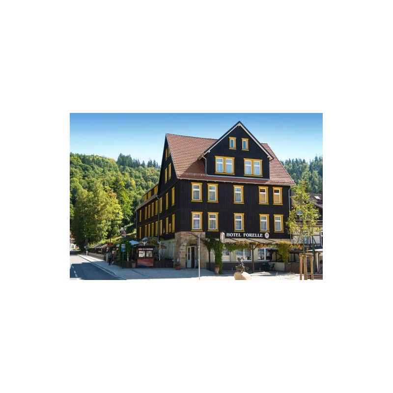Ferien Hotel Forelle