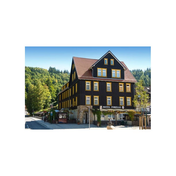 Ferien Hotel Forelle