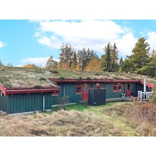 Ferienhaus in Ålbæk ab 57€ pro Nacht