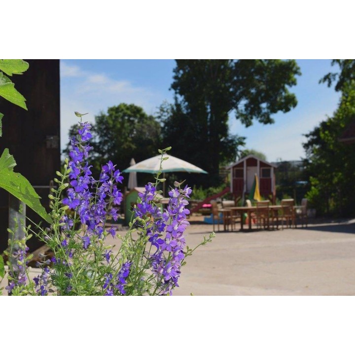 Ferienhaus in Bösdorf ab 15€ pro Nacht