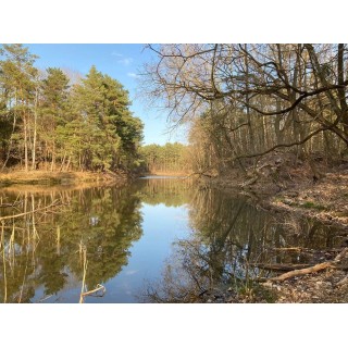 Ferienhaus in Fläming ab 59€ pro Nacht