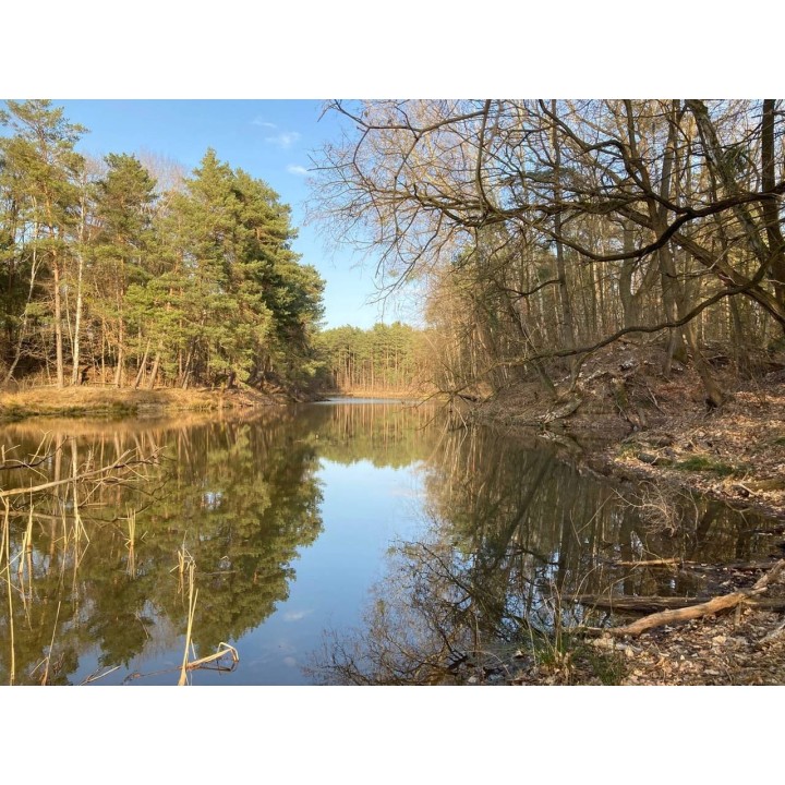 Ferienhaus in Fläming ab 59€ pro Nacht