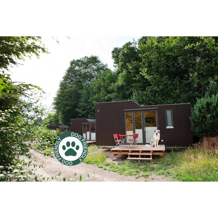 Ferienhaus in Harz ab 39€ pro Nacht