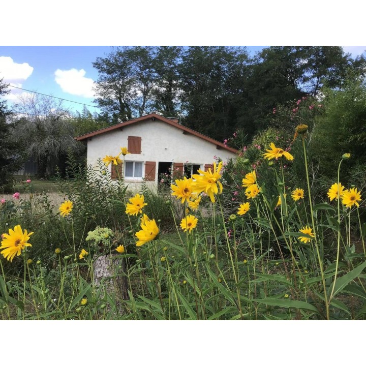 Ferienhaus in Hinx ab 59€ pro Nacht