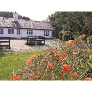 Ferienhaus in Hjørring und Umgebung ab 55€ pro Nacht