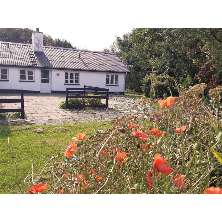 Ferienhaus in Hjørring und Umgebung ab 55€ pro Nacht