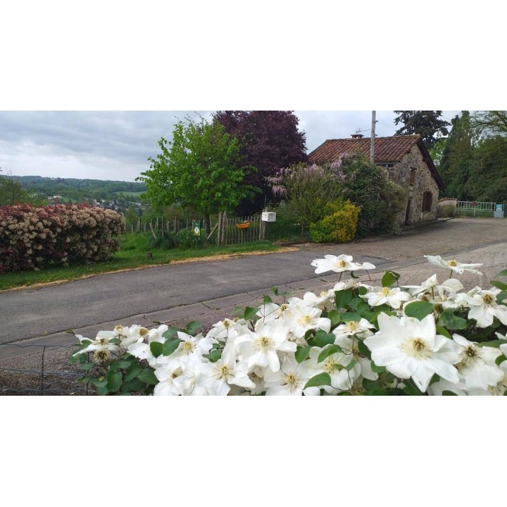 Ferienhaus in Limousin ab 43€ pro Nacht