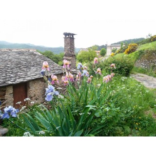 Ferienhaus in Lozère ab 55€ pro Nacht