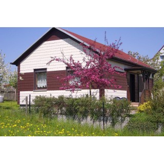 Ferienhaus in Rennsteig ab 46€ pro Nacht