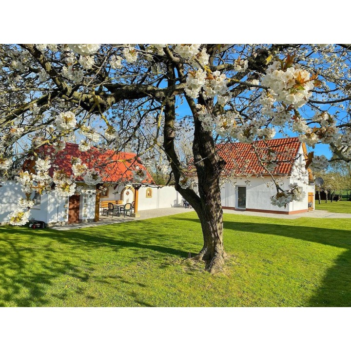 Ferienhaus in Rügen ab 59€ pro Nacht