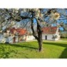 Ferienhaus in Rügen ab 59€ pro Nacht