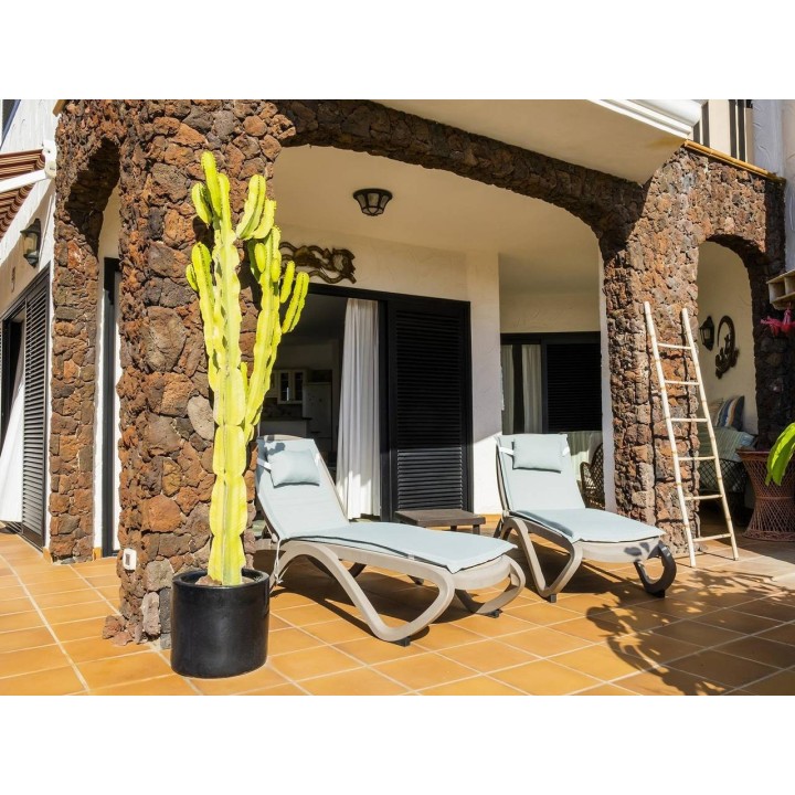 Ferienhaus in Teneriffa ab 49€ pro Nacht