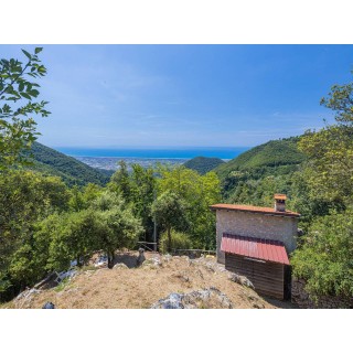 Ferienhaus in Versilia ab 35€ pro Nacht