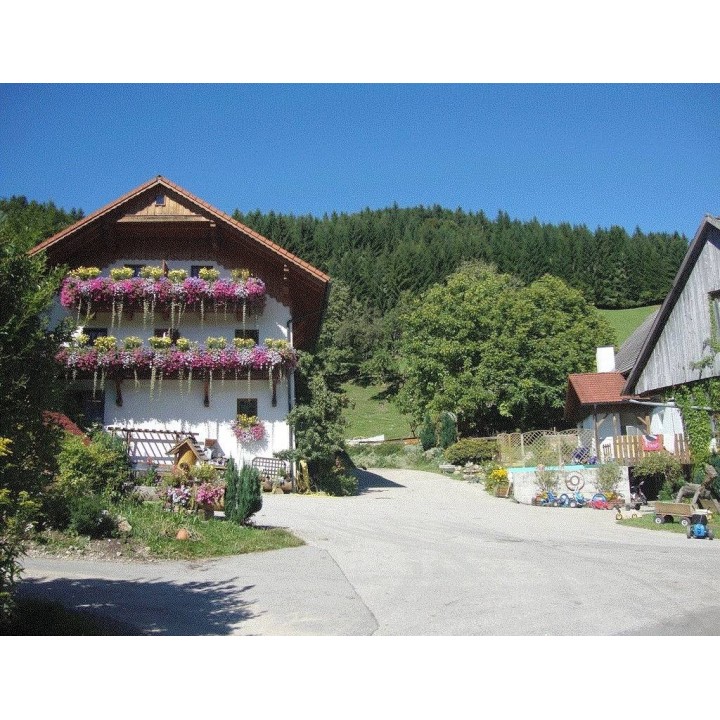 Ferienhaus in Vorderstoder ab 58€ pro Nacht