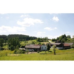 Ferienhaus in Waldviertel ab 58€ pro Nacht