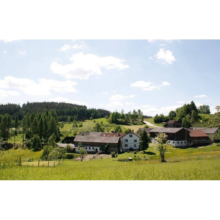 Ferienhaus in Waldviertel ab 58€ pro Nacht