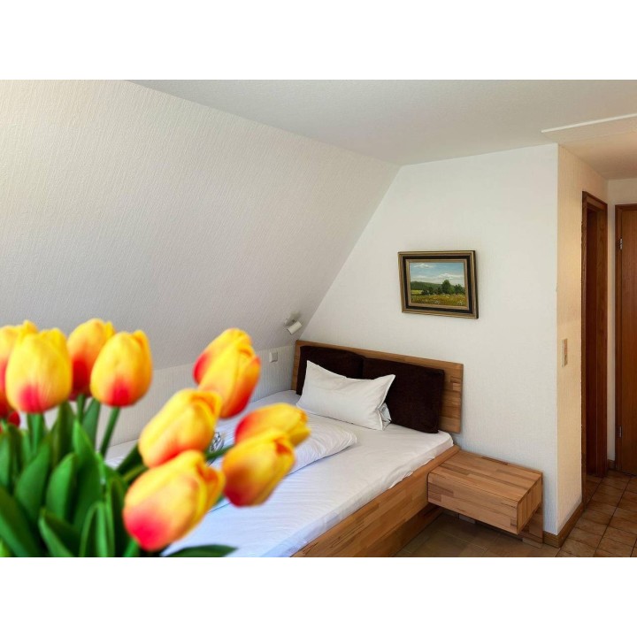 Ferienwohnung in Amrum ab 51€ pro Nacht