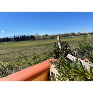 Ferienwohnung in Argelès-sur-Mer ab 57€ pro Nacht