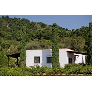 Ferienwohnung in Cilento ab 55€ pro Nacht