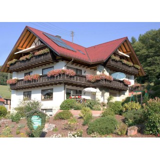 Ferienwohnung in Eschau ab 50€ pro Nacht