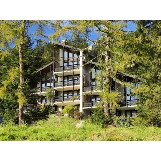 Ferienwohnung in Gryon ab 57€ pro Nacht