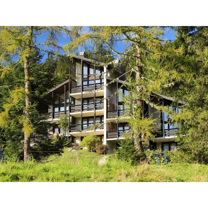 Ferienwohnung in Gryon ab 57€ pro Nacht