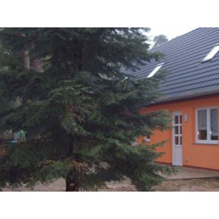 Ferienwohnung in Güstrow ab 29€ pro Nacht