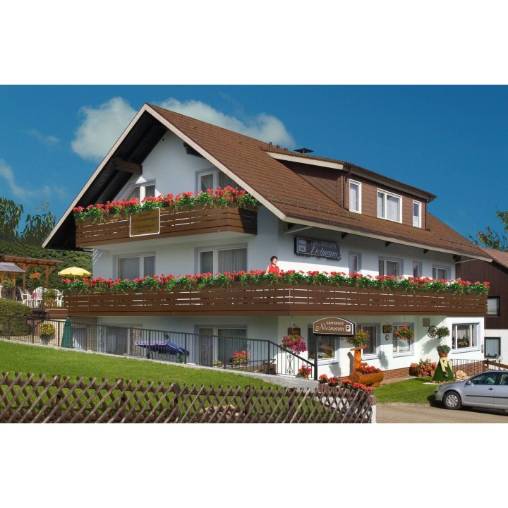 Ferienwohnung in Harz ab 53€ pro Nacht