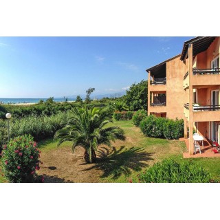 Ferienwohnung in Haute-Corse ab 59€ pro Nacht