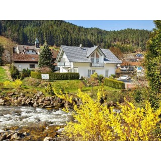 Ferienwohnung in Hornberg ab 42€ pro Nacht